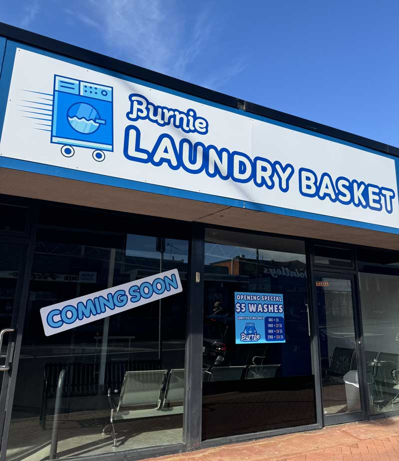 burnie laundry basket